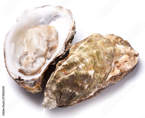 Raw oyster on a whte background.