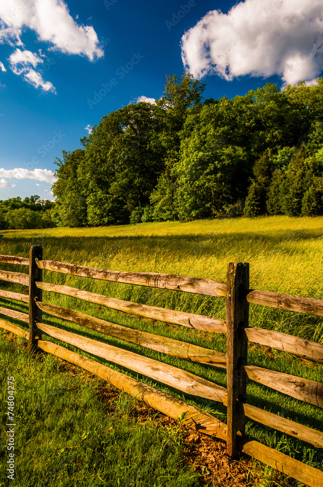 Fence, field and trees under a beautiful spring sky, at Antietam