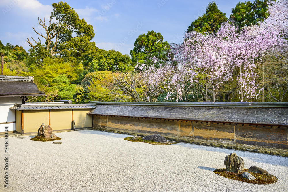 Fototapeta premium Kioto, Japonia, wiosną w świątyni Ryoan-ji