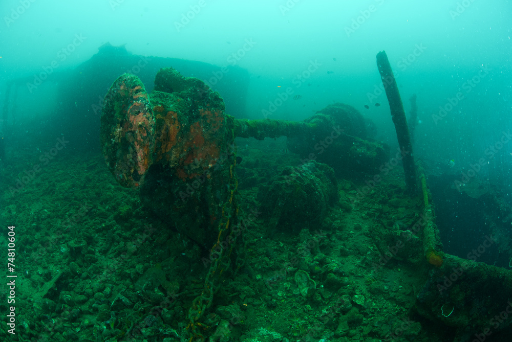 Fototapeta premium Boat wreck in Ambon, Maluku, Indonesia underwater