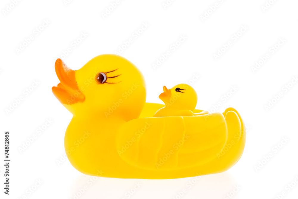 closeup duck toy on white background. closeup duck toy on white background.
