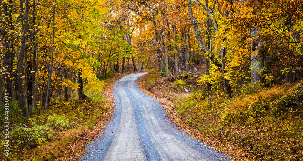 Autumn color along a dirt road in Frederick County, Maryland. Autumn color along a dirt road in Frederick County, Maryland.