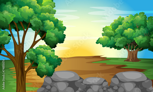 Forest