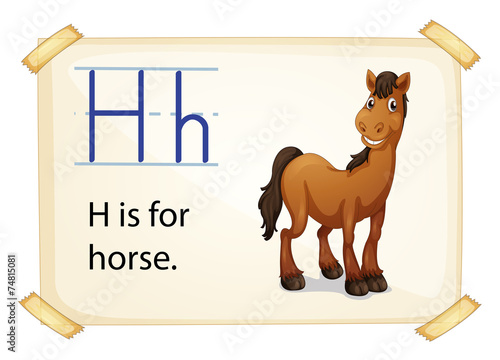 Alphabet