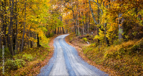Autumn color along a dirt road in Frederick County, Maryland.