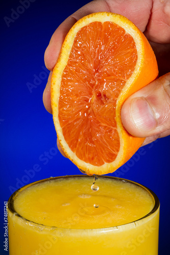 Fresh Squeezed Orange Juice