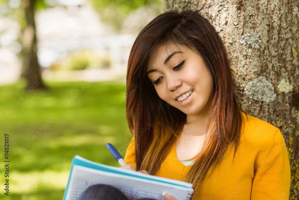 Fototapeta premium College student doing homework against tree in park
