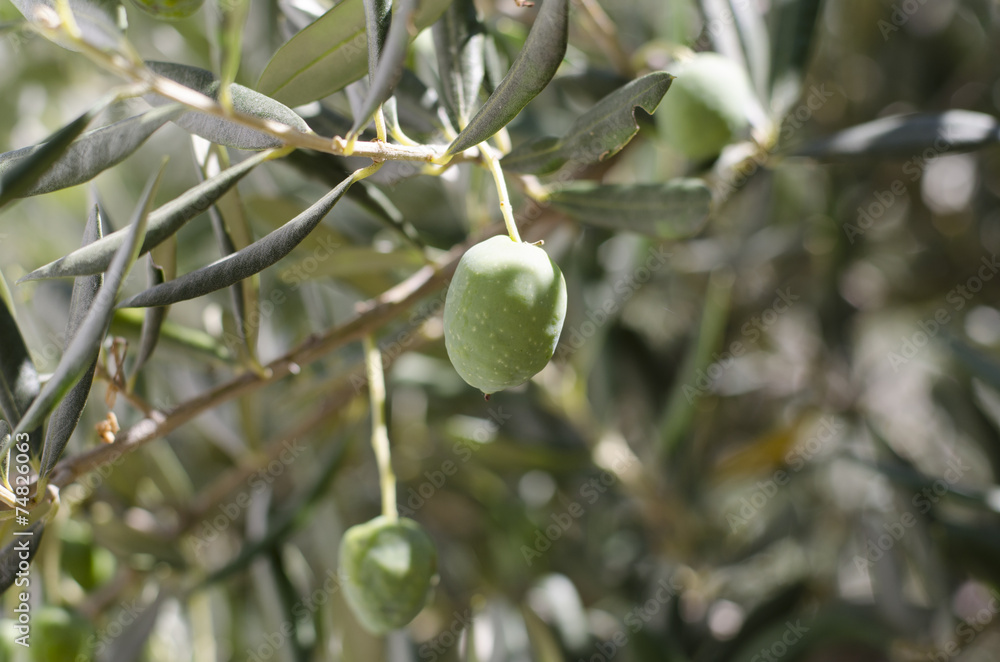 olives