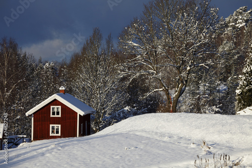 lonely cottage, winter and snowy landscape