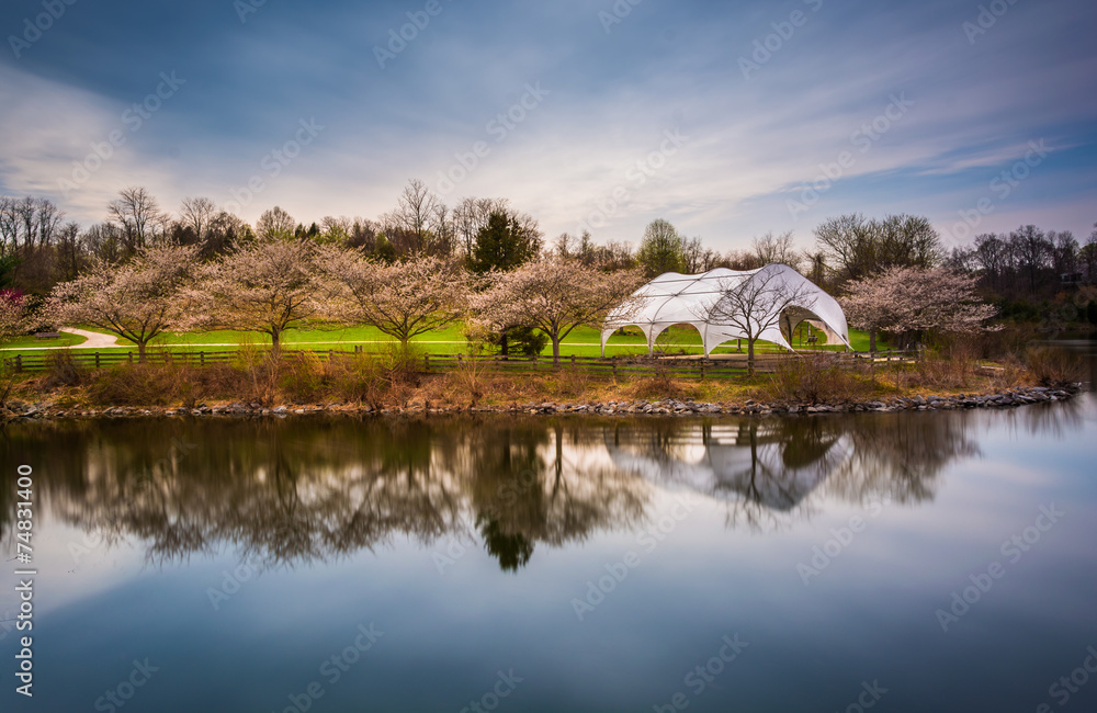 Long exposure of Centennial Lake, at Centennial Park in Columbia Long exposure of Centennial Lake, at Centennial Park in Columbia