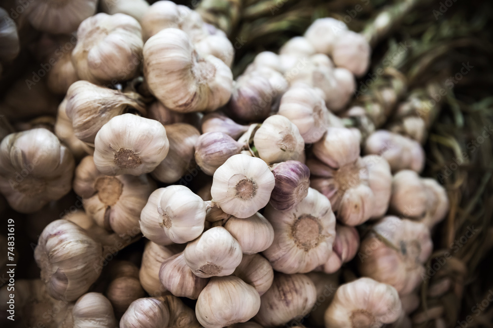 Large bunch of white garlic hanging on the counter Large bunch of white garlic hanging on the counter