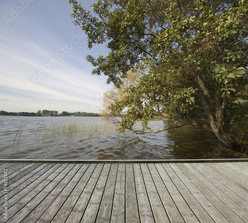 Tree on a lakeshore