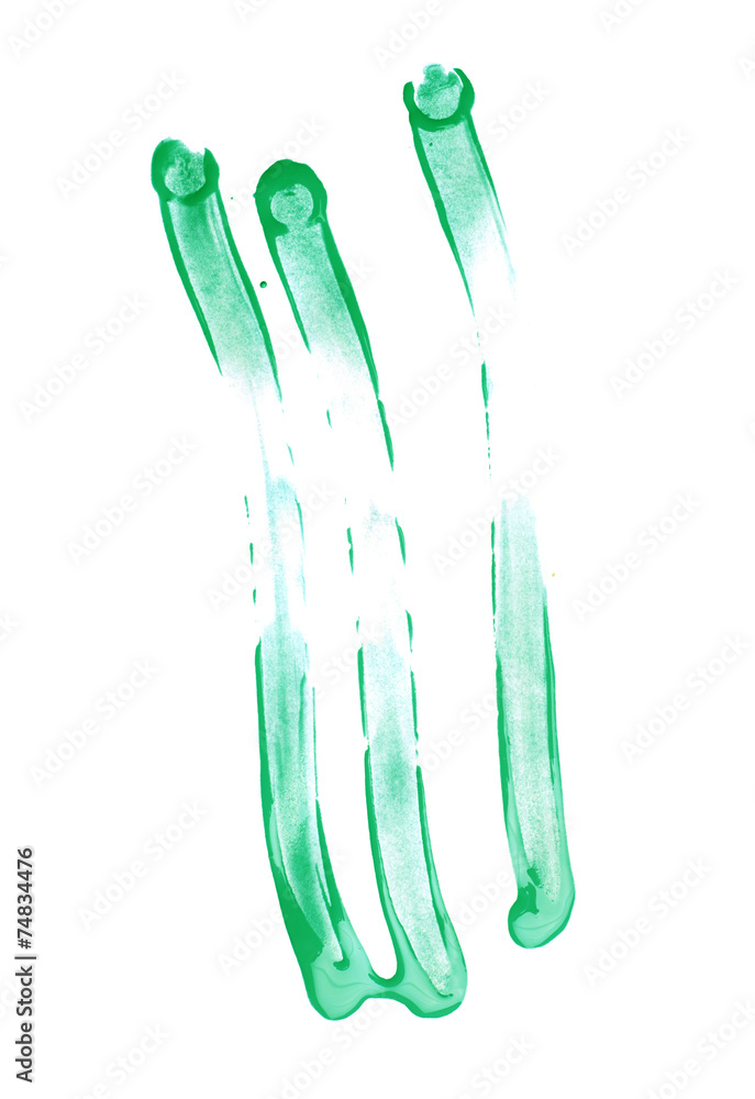 Oil paint stains isolated Oil paint stains isolated