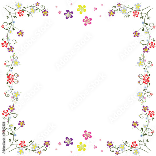 frame flowers isolated