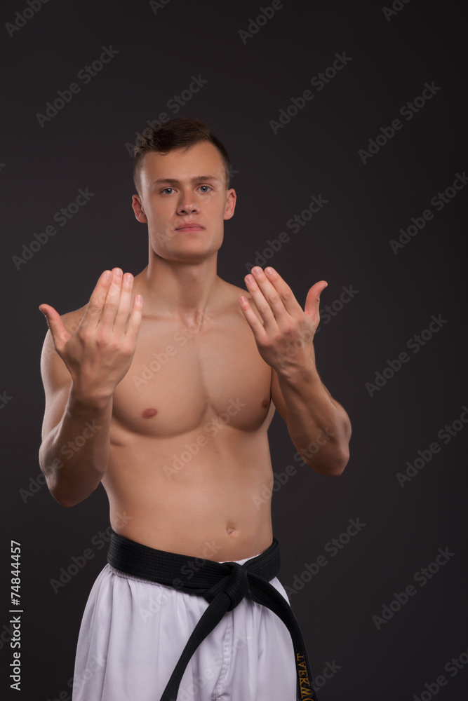 Fototapeta premium Handsome karate enthusiast