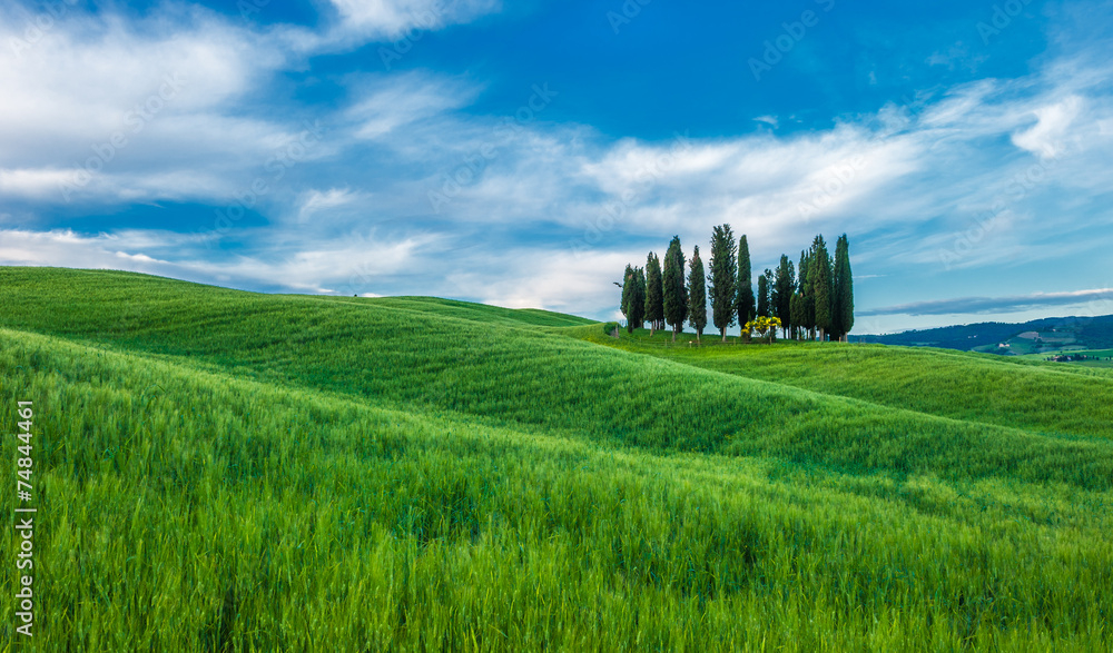 typical tuscan landscape