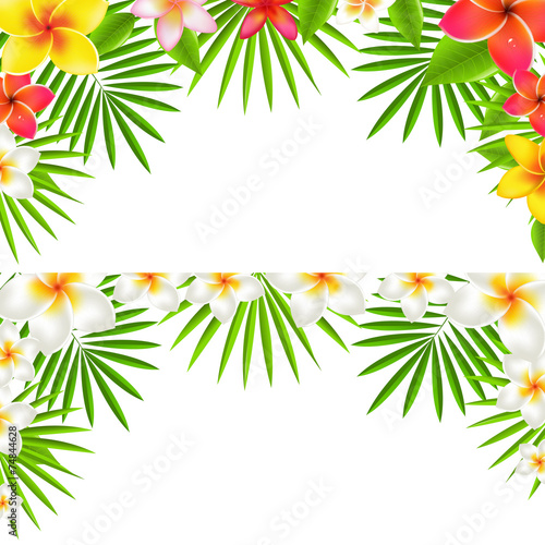 Tropical Flowers Border Set