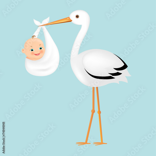 Poster Stork With Baby