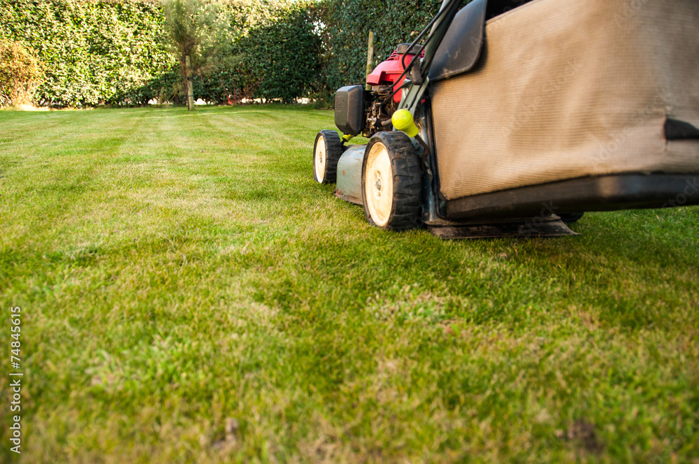 Obraz premium Lawn mower