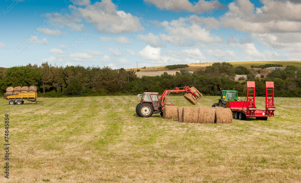 Obraz premium Tractor at Straw harvesting