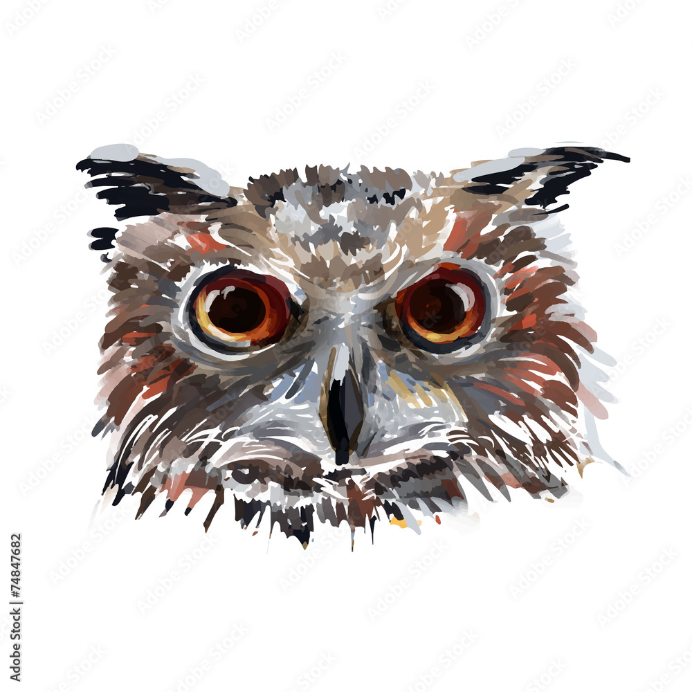 Fototapeta premium Vector owl head