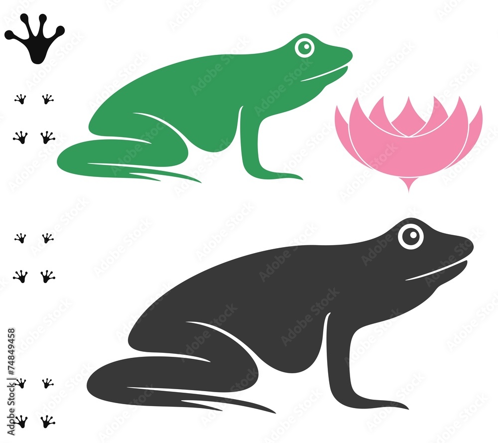 Frog Frog