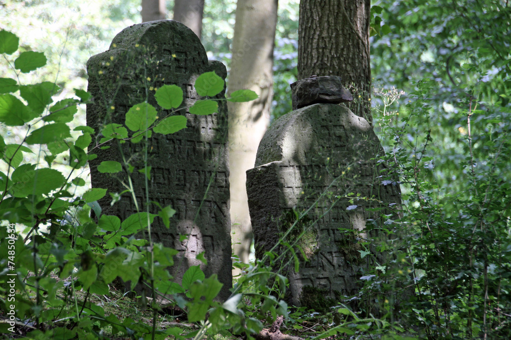 Fototapeta premium Jüdischer Friedhof Schwalenberg