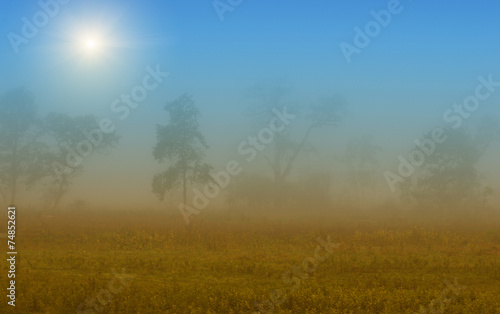 Foggy landscape © Budimir Jevtic