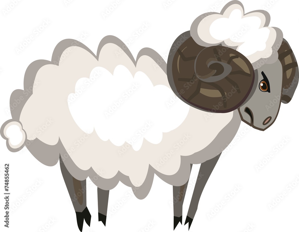 Fototapeta premium Stubborn ram