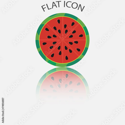 Half of watermelon in the reflection. Vector illustration