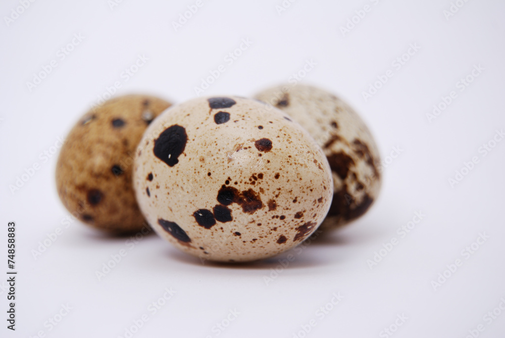 Uova di quaglia