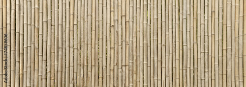 Bambuswand