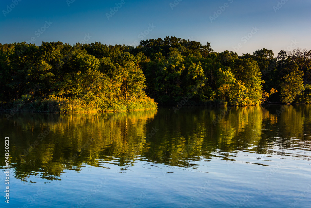 Trees reflecting in Duck Creek in Essex, Maryland. Trees reflecting in Duck Creek in Essex, Maryland.