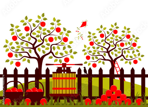 apple harvest