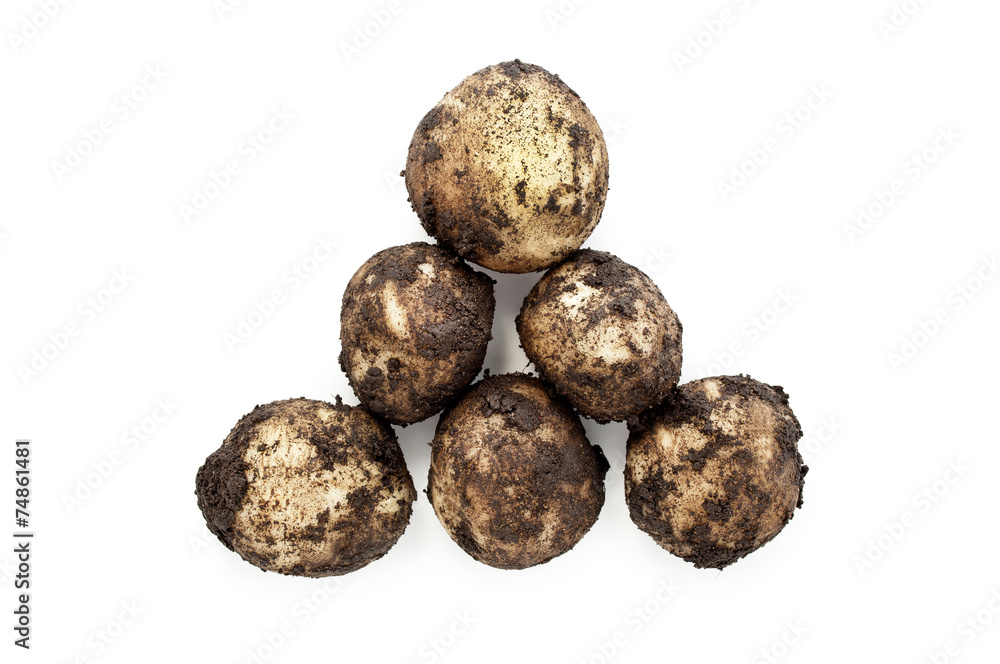 dirty potatoes dirty potatoes