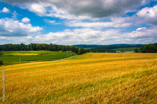 View of farm fields and rolling hills in rural Carroll County, M