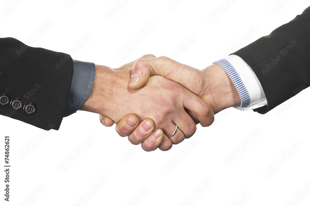 Closeup of a business hand shake Closeup of a business hand shake