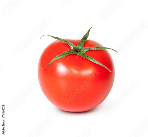 One Fresh Red Tomato