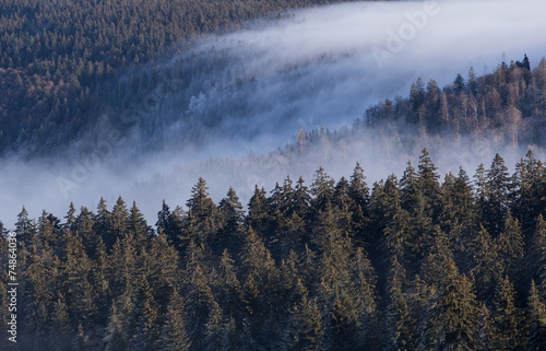 fog streaming over black forest, Germany