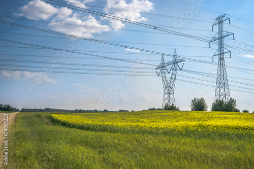 Power line and canola field
