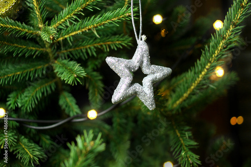 Christmas star on christmas tree branch
