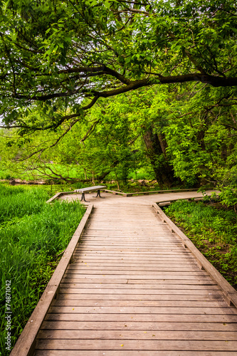 Boardwalk trail through the forest at Wildwood Park in Harrisbur