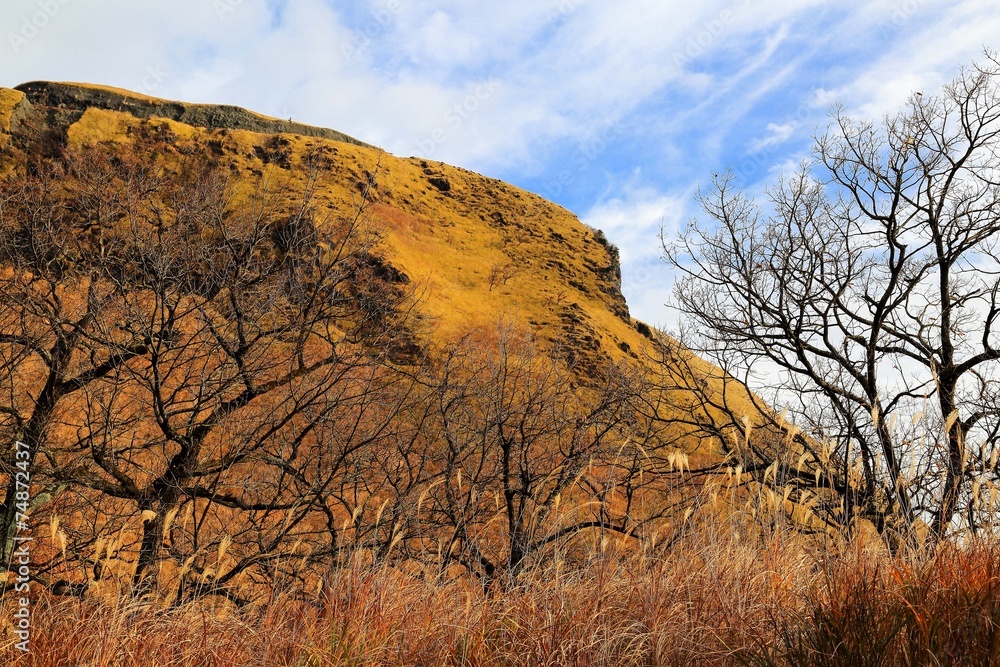 Obraz premium 阿蘇外輪風景