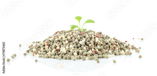 Chemical fertilizer for plant on white background photo