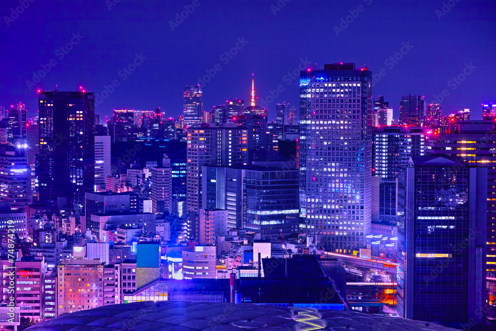 Obraz premium 東京の商業地区の夜景