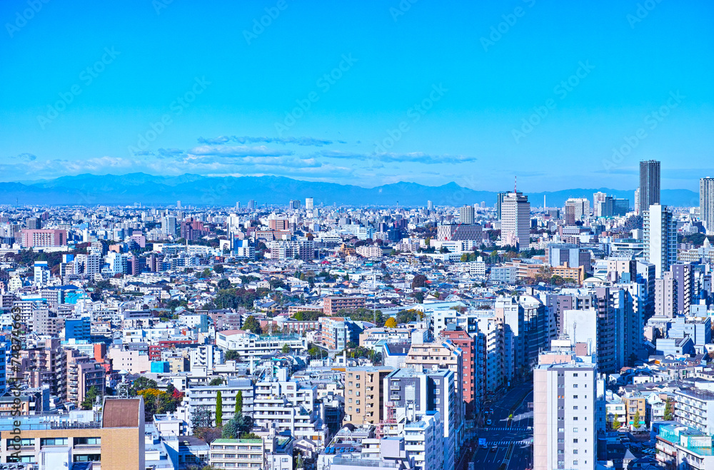 Obraz premium 東京の風景