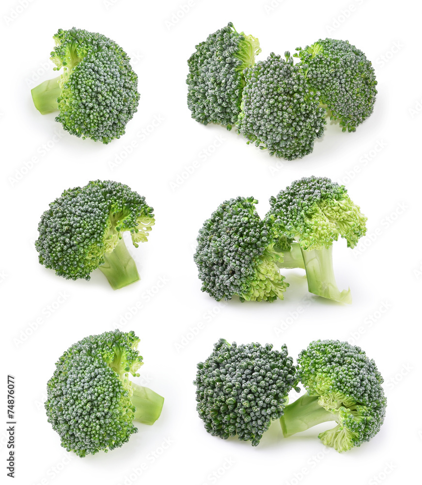 Broccoli isolated on white background Broccoli isolated on white background