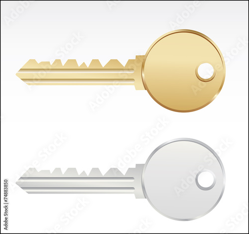 Golden and silver keys. Vector