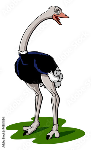 Ostrich