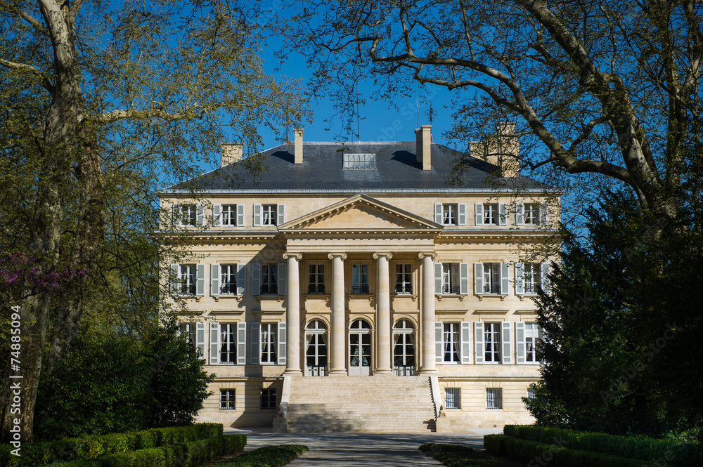 Chateau Margaux-Bordeaux Vineyard